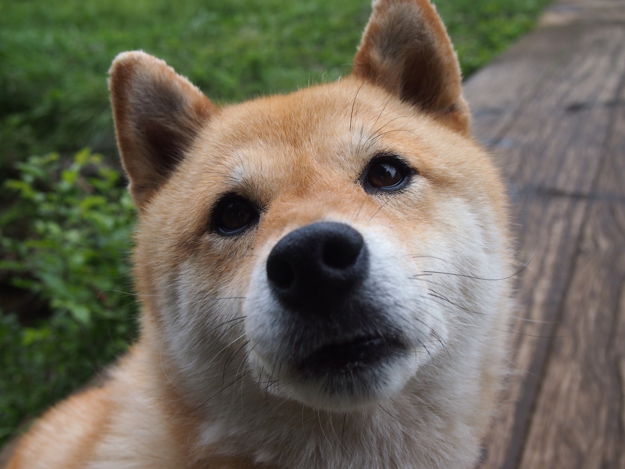 _魔术队不懈追求,训练场勤奋不止_,魔术队百度百科