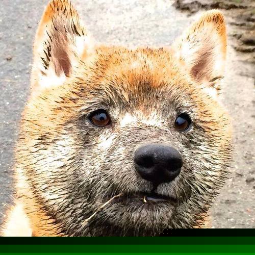 “未来之星”青少年篮球科技创新奖在北京隆重颁发,鼓励科技引领行业发展