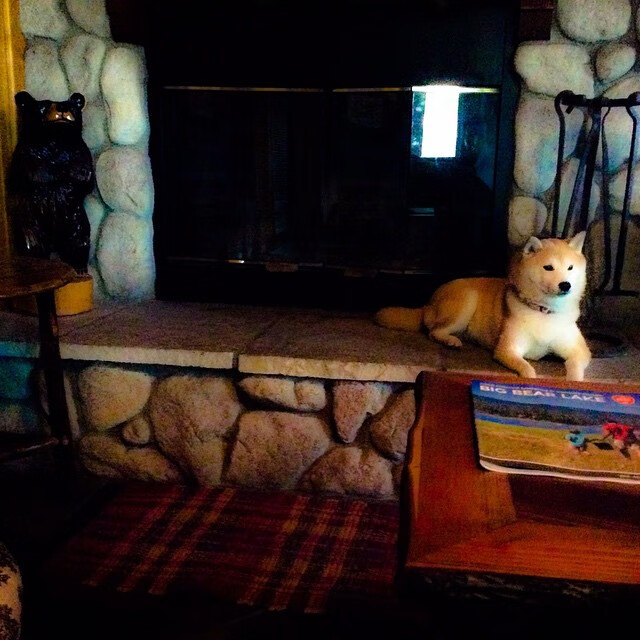 开云体育APP下载-“足球+旅游+文化”融合新产业生态在多地落地，行业持续繁荣