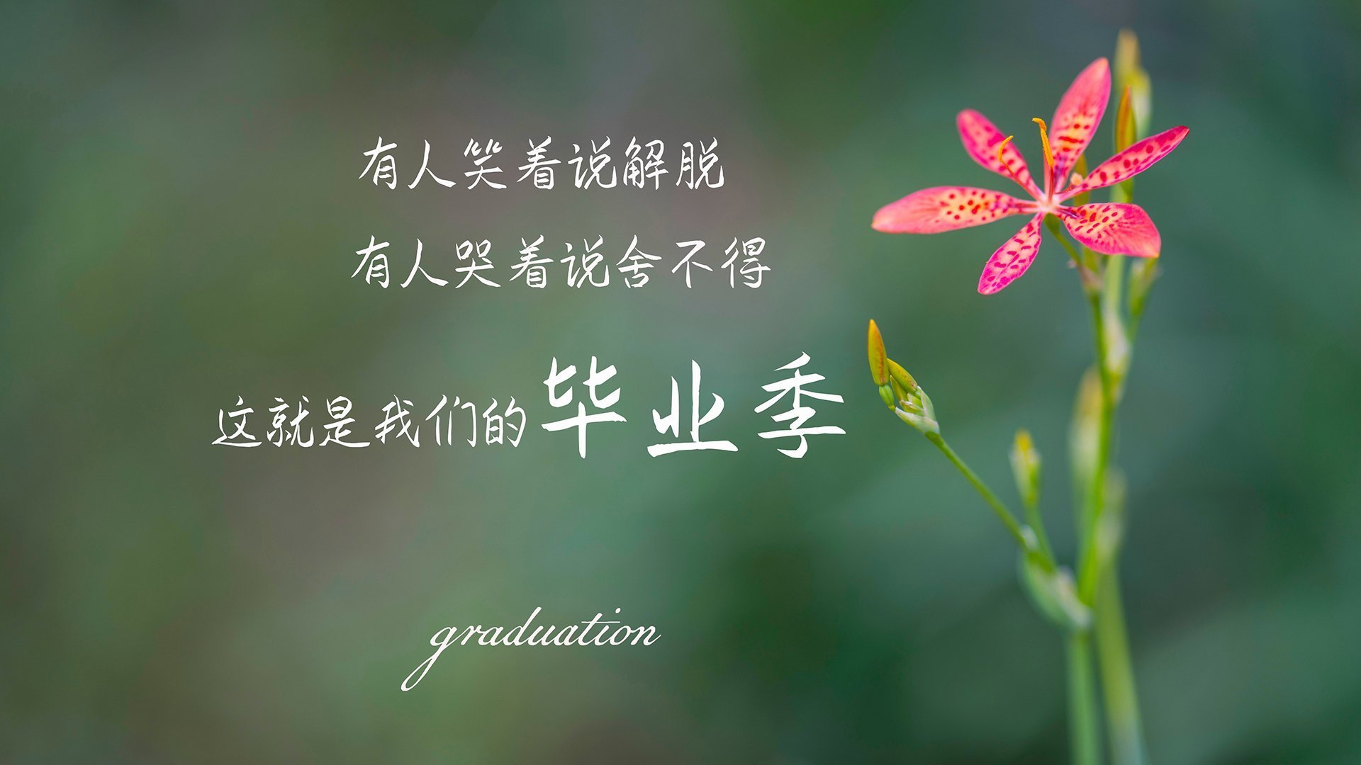 《环境之战:绿色电竞比赛倡导低碳出行》,绿色环保知识竞赛