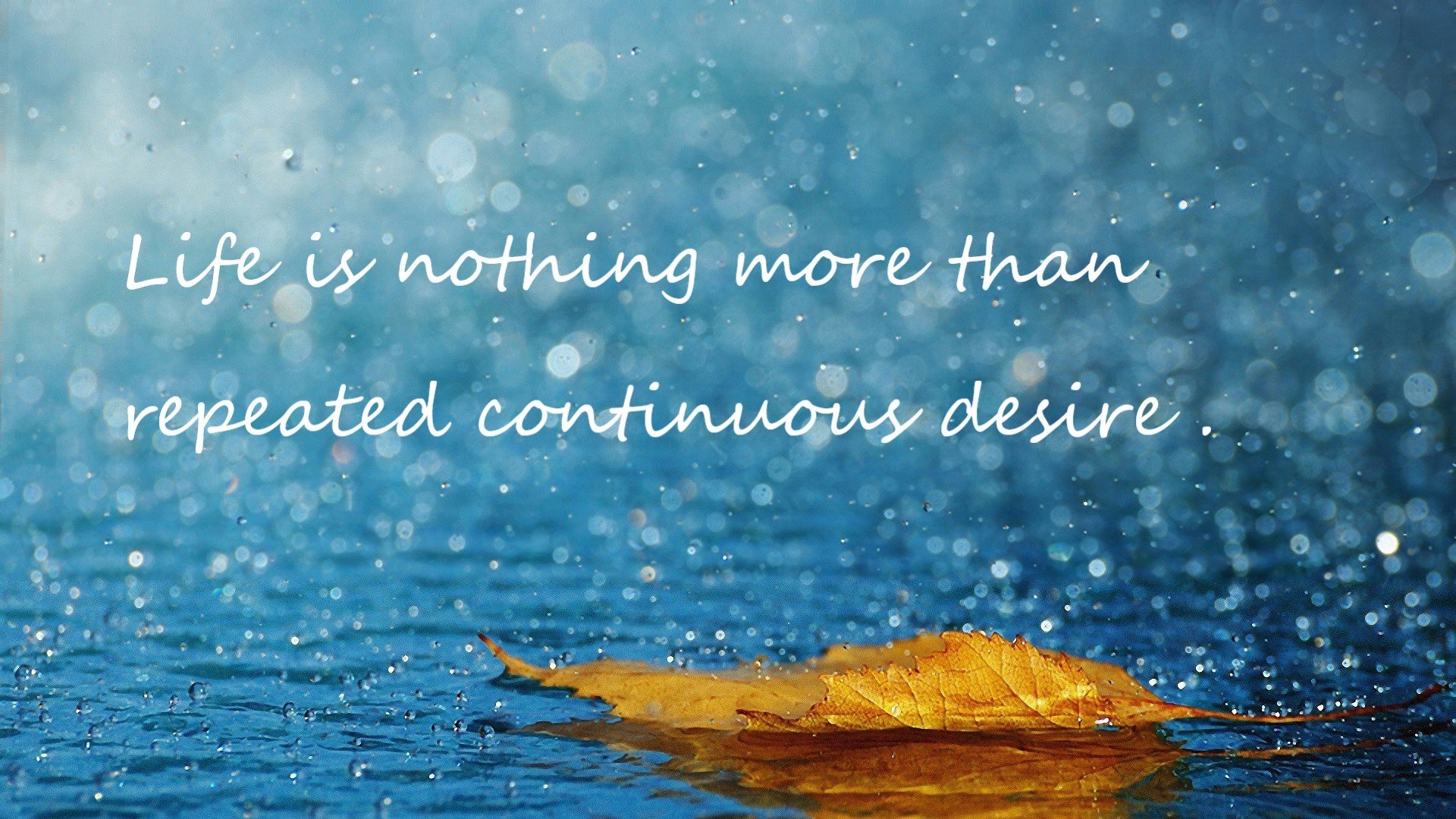 最佳瞬间合集:球迷眼中的本月超级精彩,最佳击球点漫画哪几开车