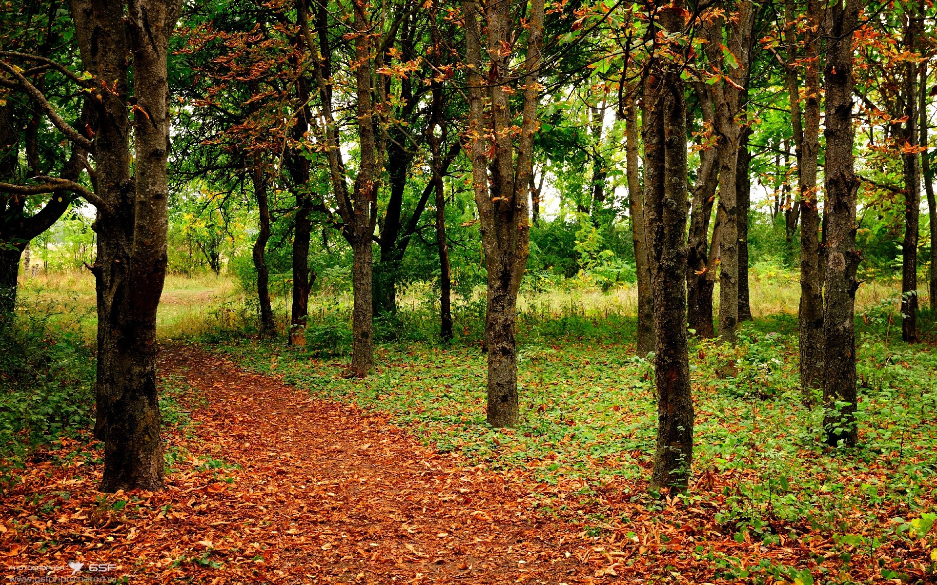 绝地求生 赛事组织能力持续提升,绝地求生竞赛规则