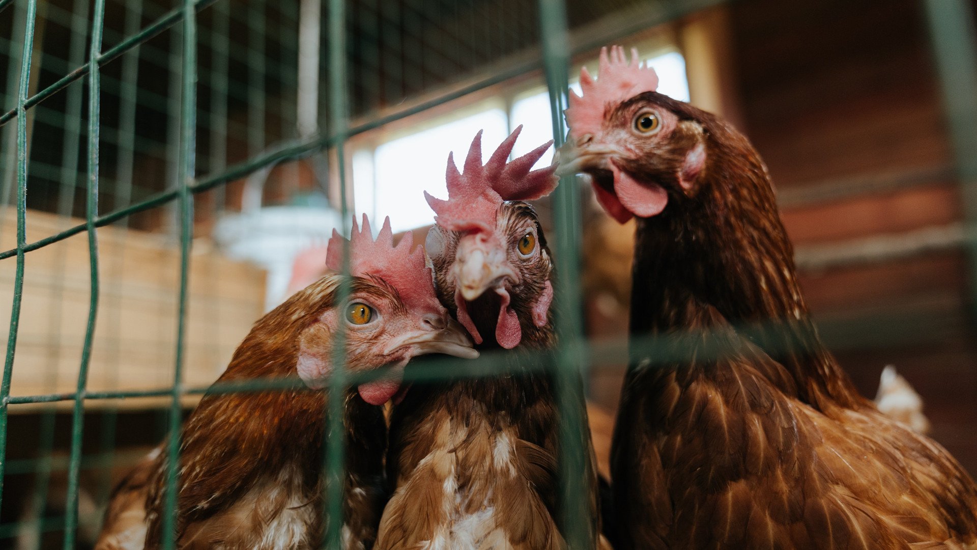 逆转经典:那些堪称奇迹的逆转时刻,逆转简介