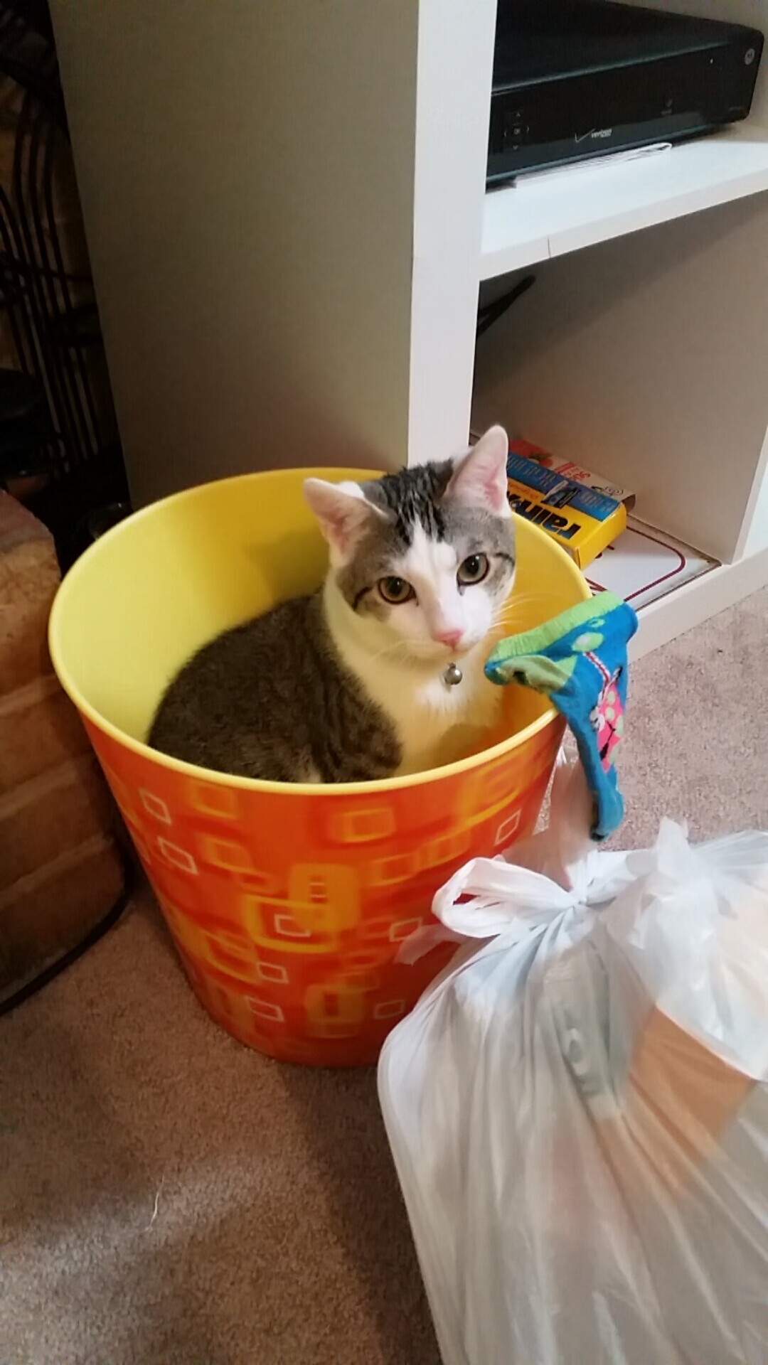 中国足球赞助商体系更趋多元,中国足球赞助商有哪些