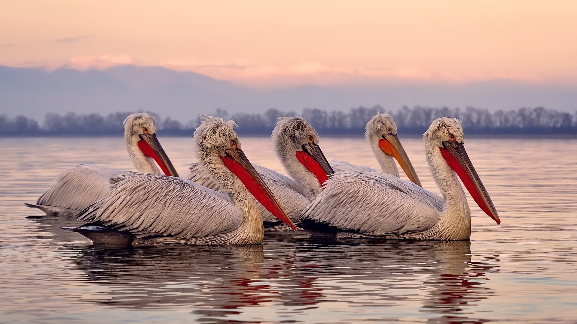 中国足球比赛风云突起,球队实力逐渐攀升,中国足球队的比赛
