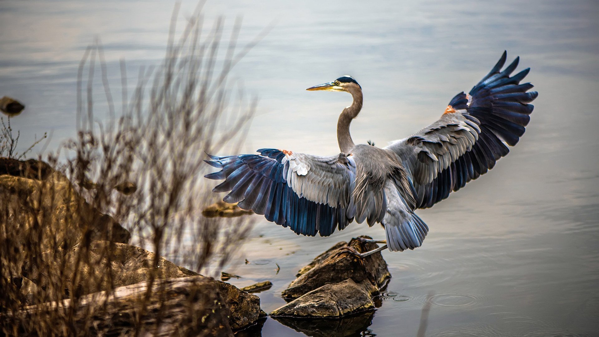 kaiyun官方网站-伊朗篮球新星迅速崛起，伊朗篮球队名单