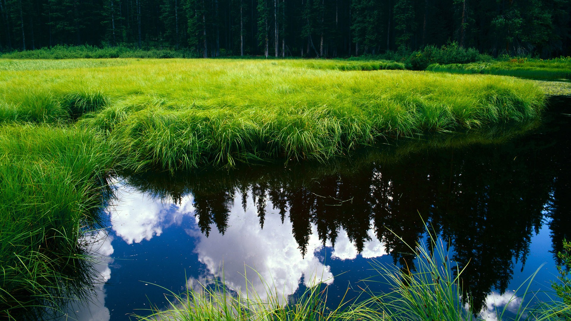 凯尔特人球队整体实力稳步提升