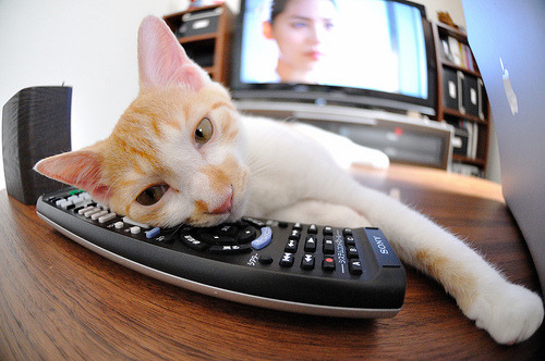 凯撒酋长与阿尔萨德达成球员交换协议,凯撒酋长与阿尔萨德达成球员交换协议了吗