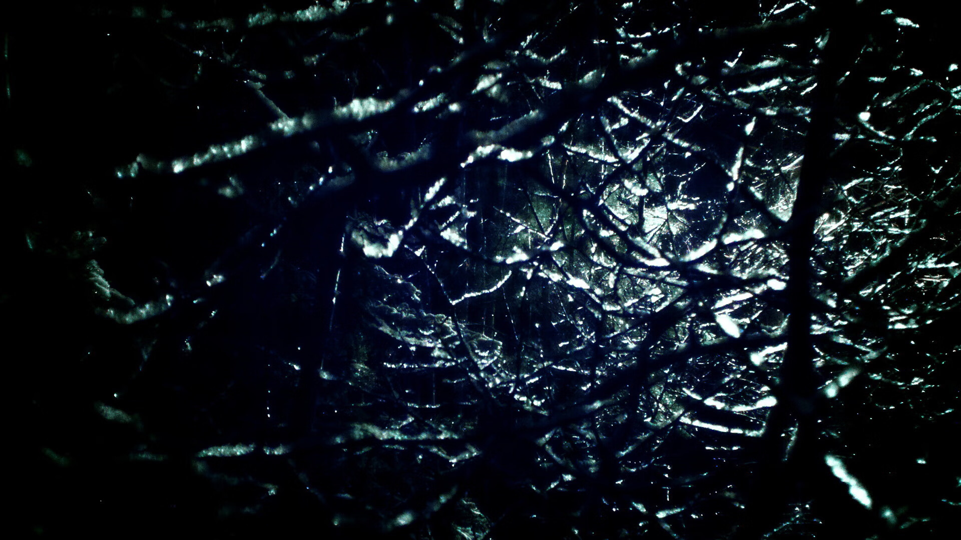 原州东浦新世代新秀球员崭露头角,东原地产新蒲