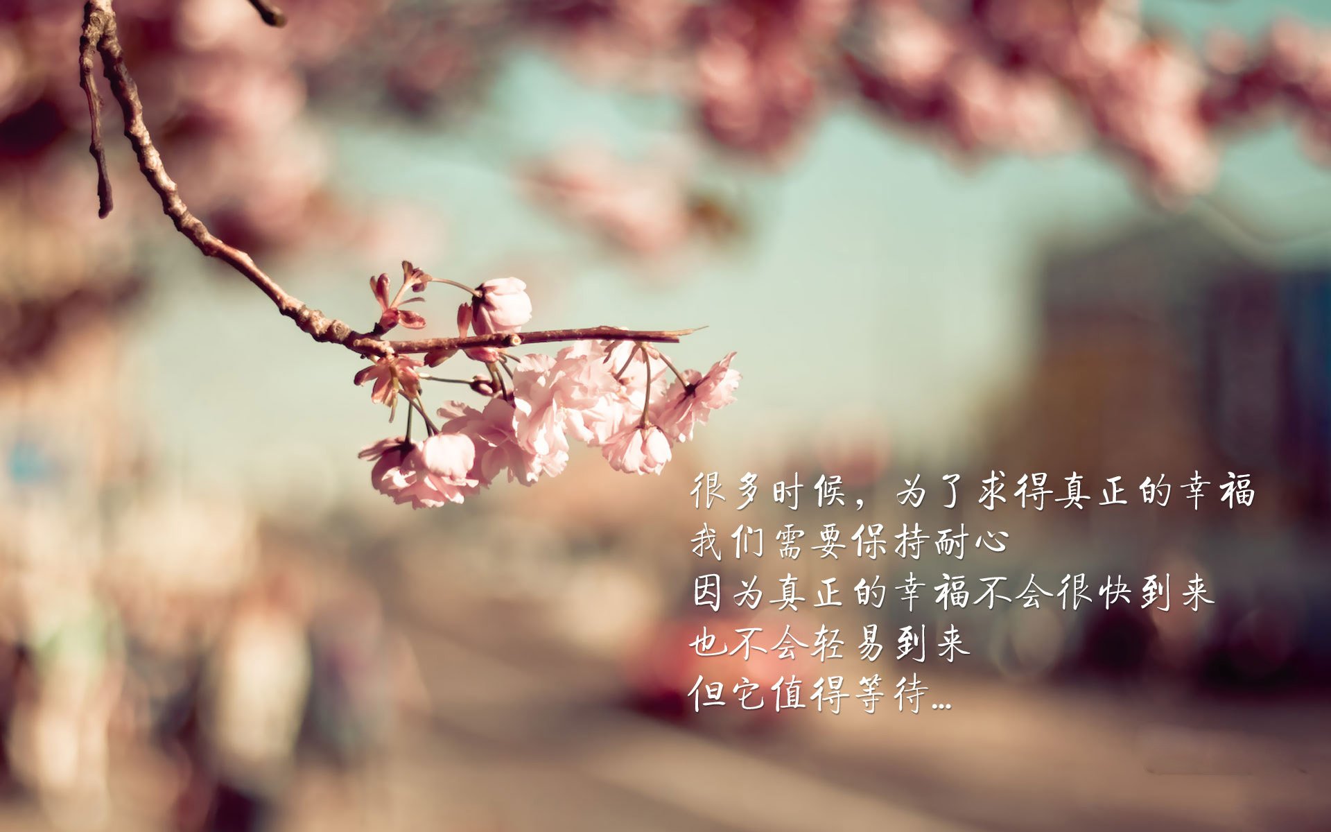 塞尔塔大翻盘,瓦伦西亚遭遇失利,塞维利亚瓦伦西亚谁更强